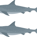 BG真人太鼓达人庄家版-BG真人太鼓达人最新安卓版APP官方下载安装包